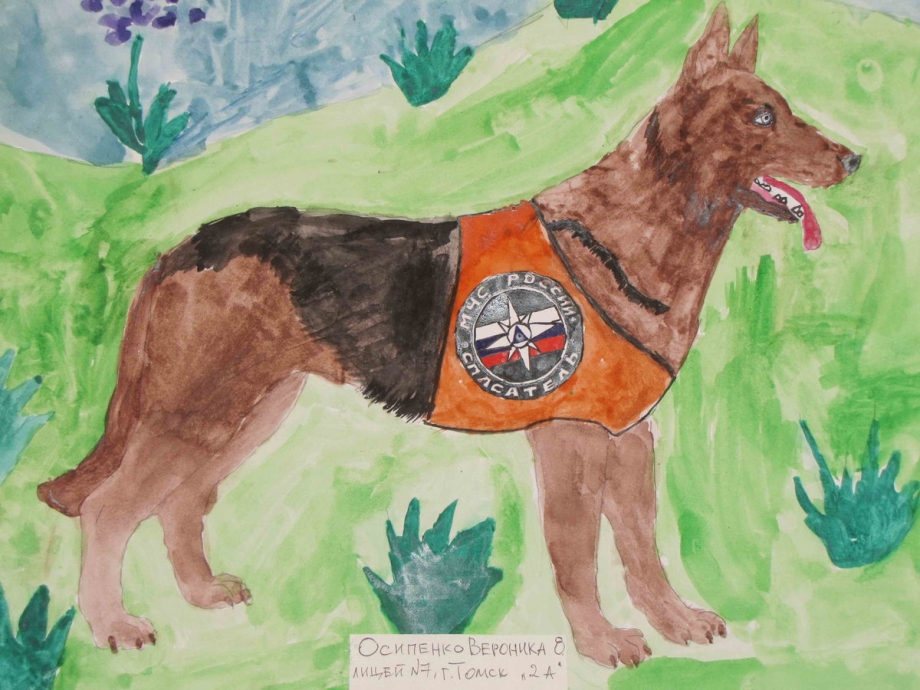 Животные в великой отечественной войне рисунок. Рисунок на тему животные. Рисунок на тему собака. Собака детский рисунок.