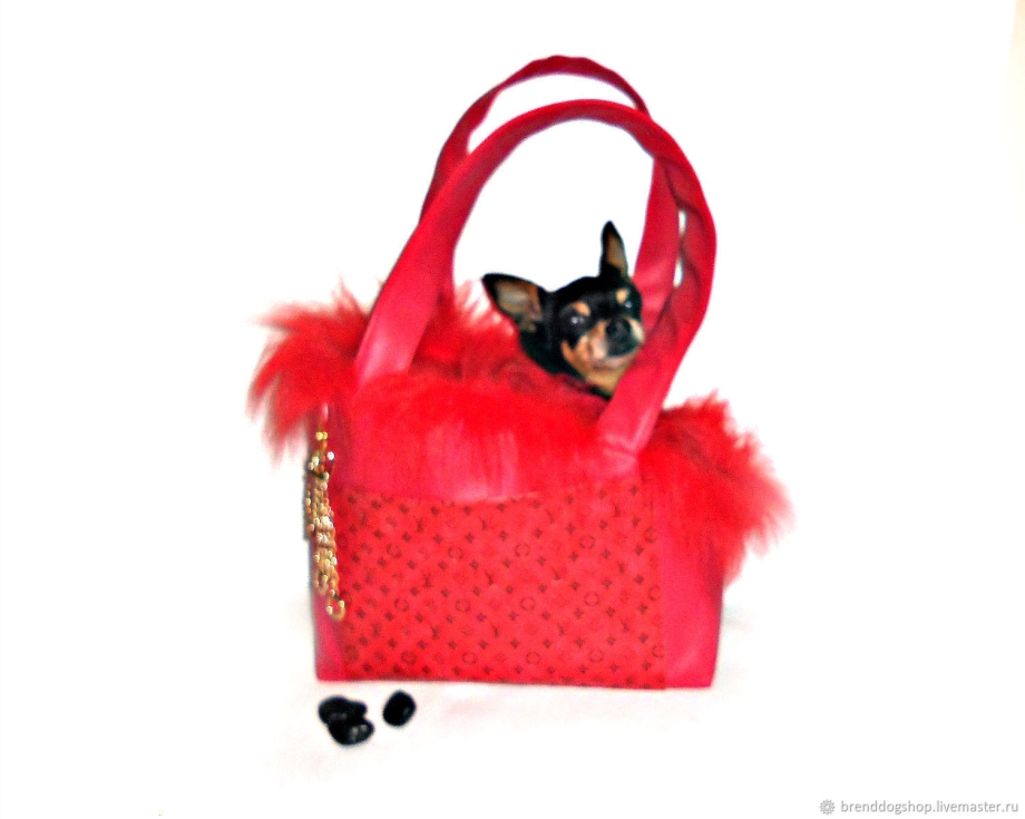 Pucci pups собачка в сумочке