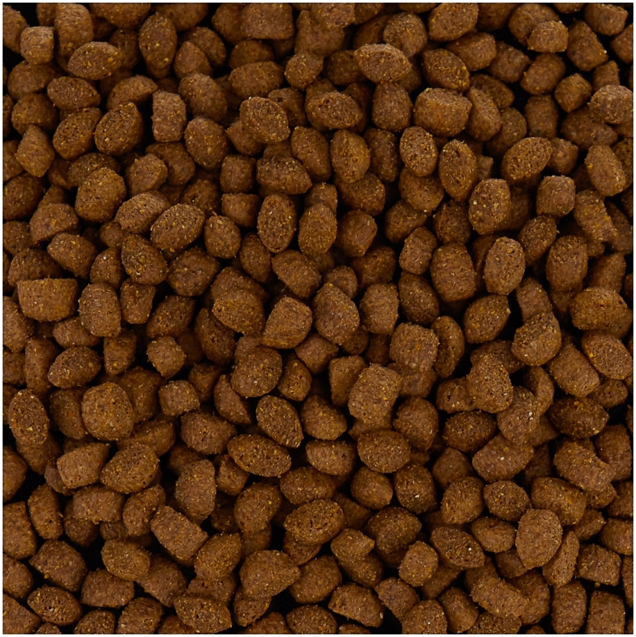 Корм для кошек Gemon (20 кг) Cat Sterilized с индейкой