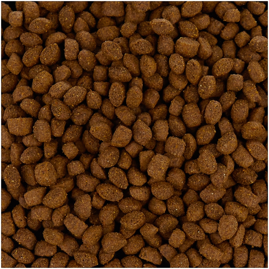 Gemon Dog PFB Puppy & Junior Chicken 31/16 корм для щенков с курицей 20 кг