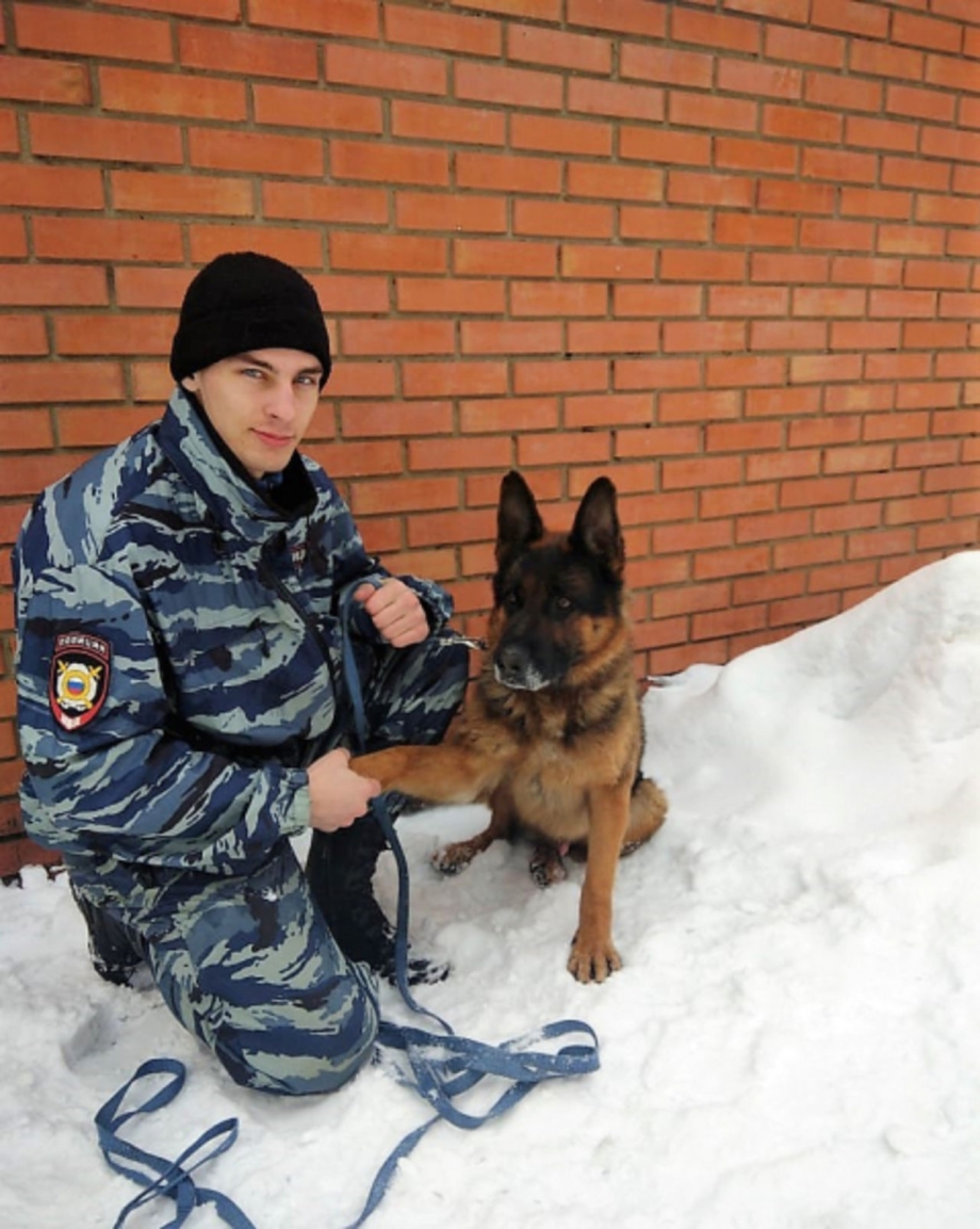 Овчарка Полицейская Россия