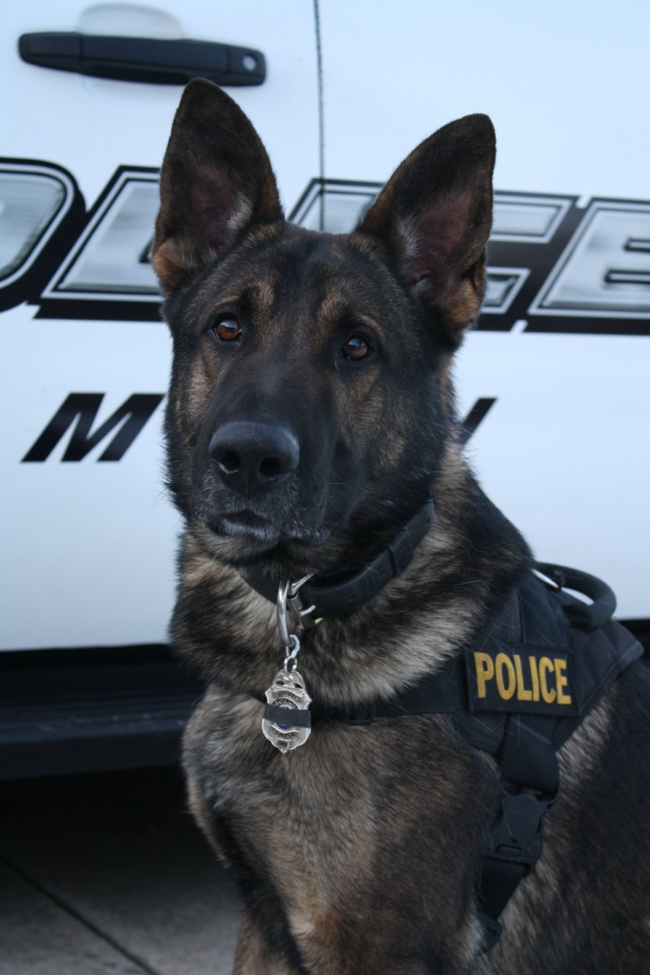 K9 полиция Germany