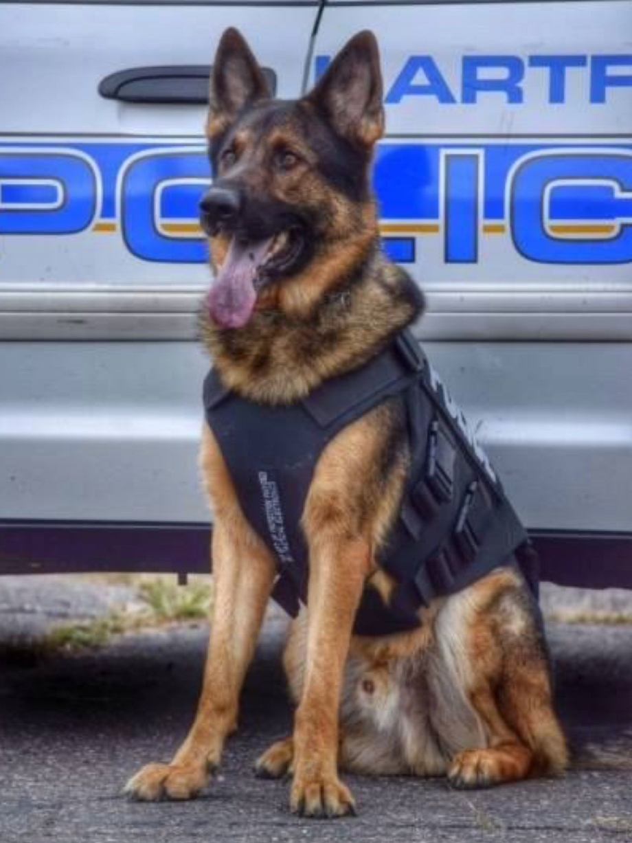 Овчарка немецкая Police