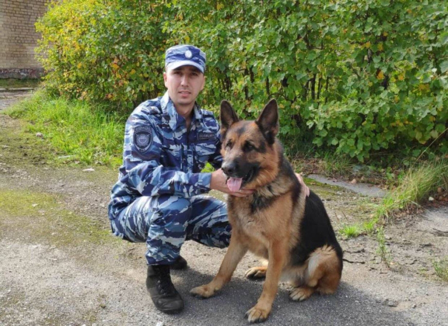Овчарка кинология