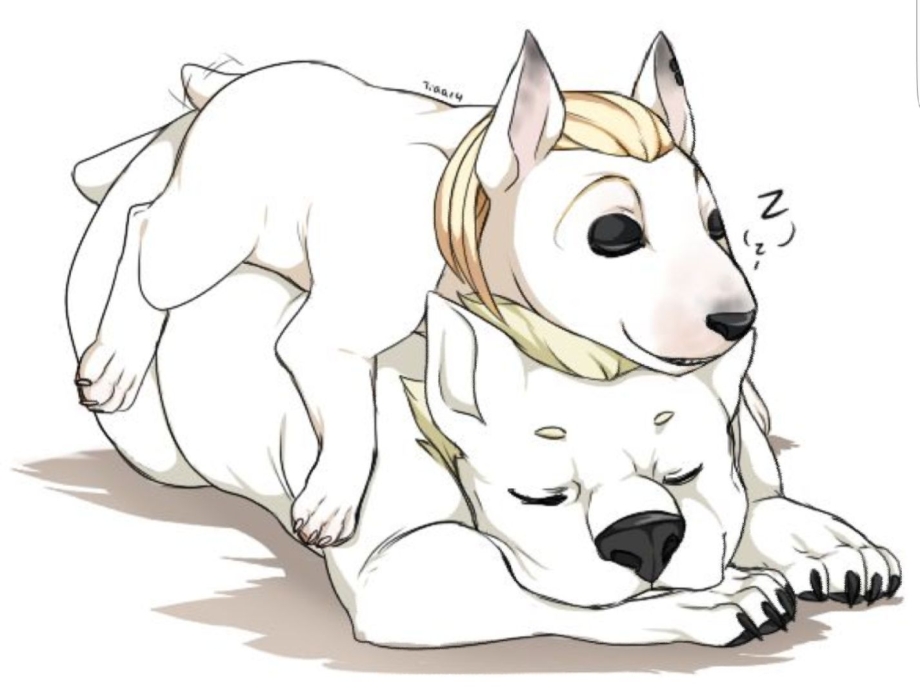 Tokyo Dogs anime