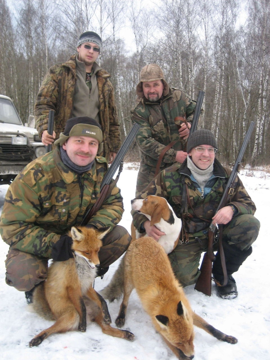 Эстонская гончая