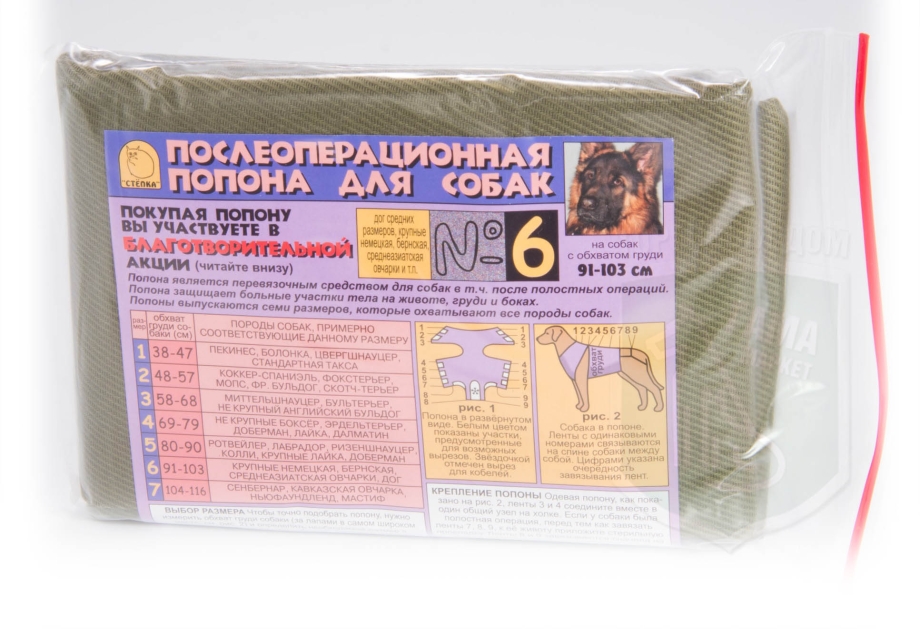 Кошка после стерилизации