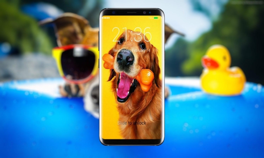 Xiaomi pawbby treat cam Camera Smart Pet Feeder CCTV (MG-psm001)