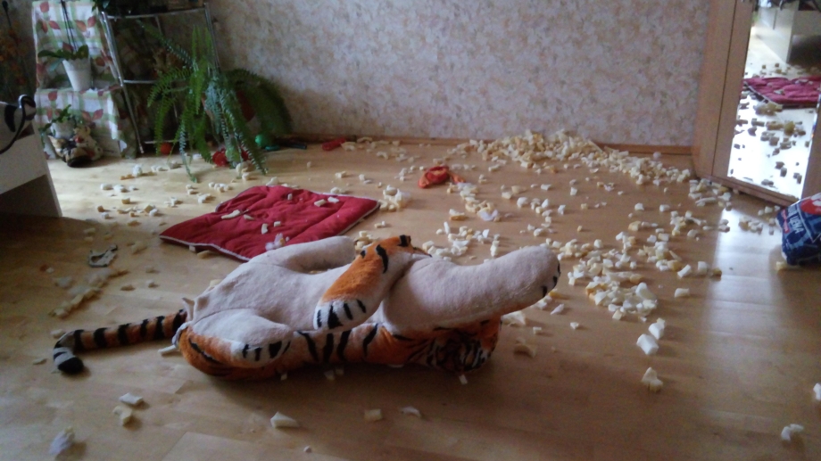 Собака погрызла