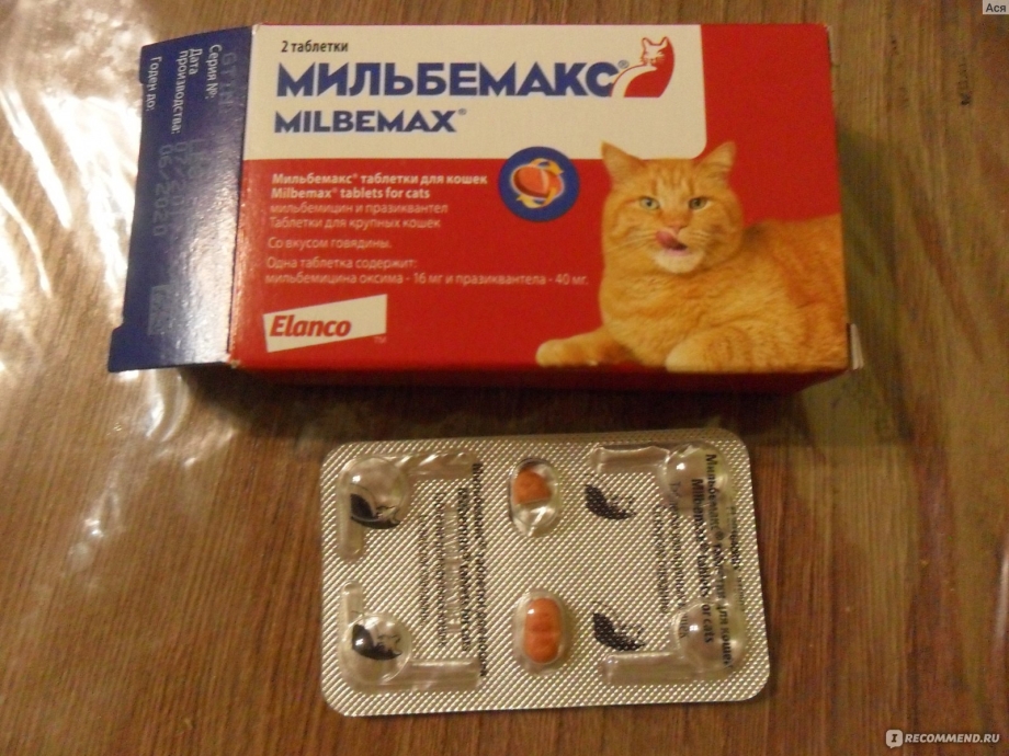 Лекарство от глистов для кошек Мильбемакс