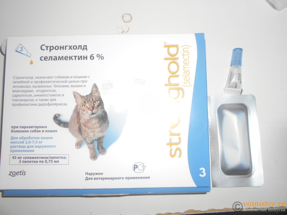 Капли от клещей для кошек стронгхолд
