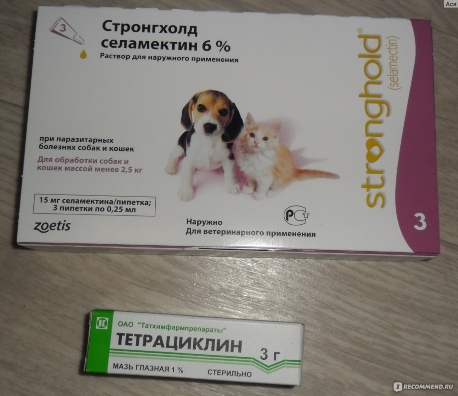 Капли от блох для кошек стронгхолд