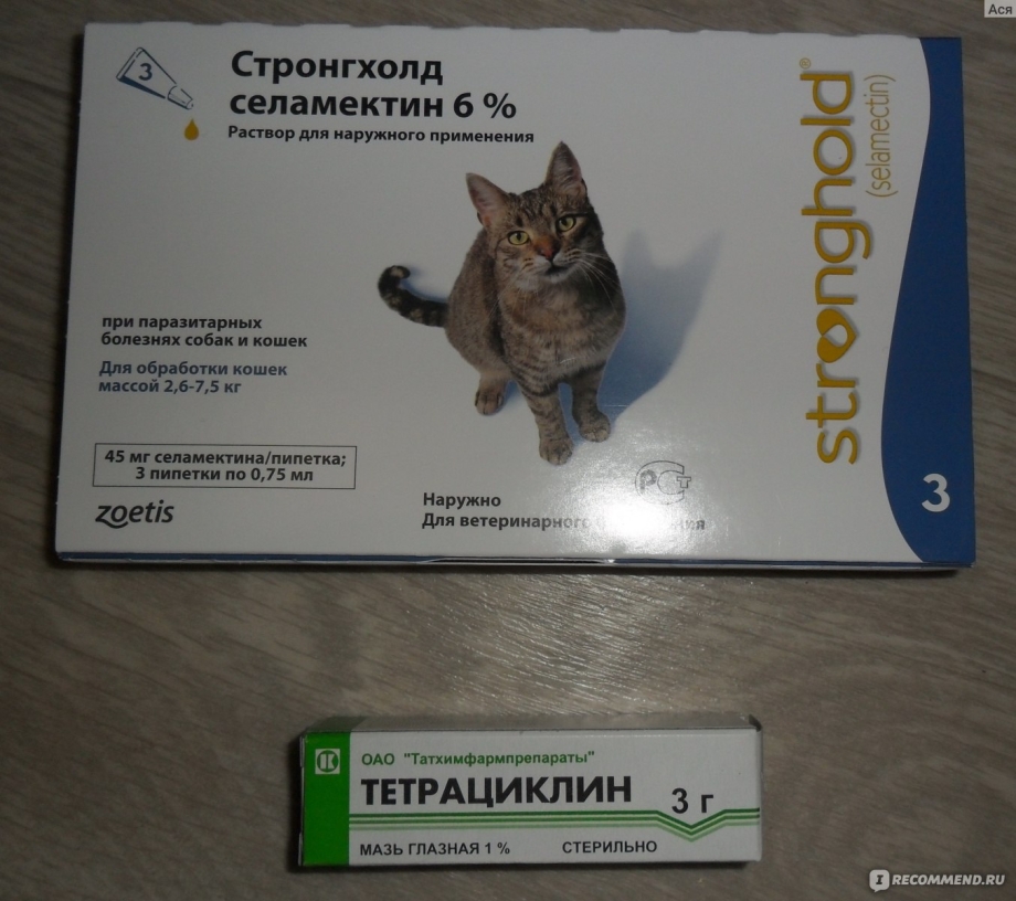 Стронгхолд от клещей для собак