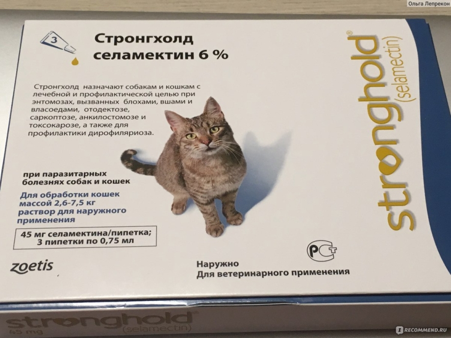 Стронгхолд 6 для щенков