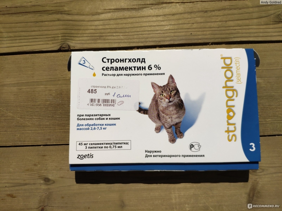 Стронгхолд инструкция