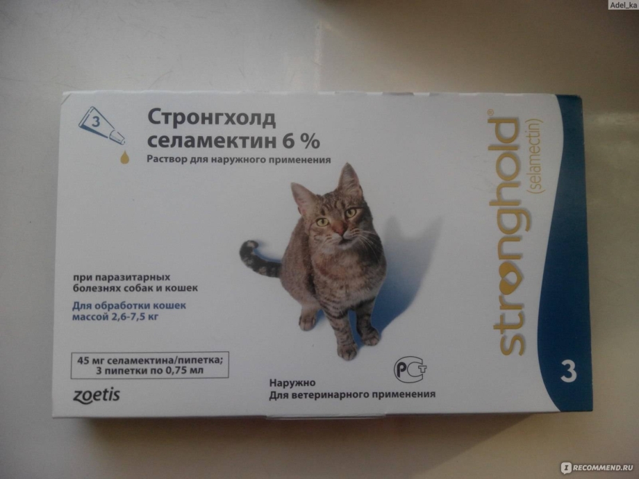 Стронгхолд инструкция по применению