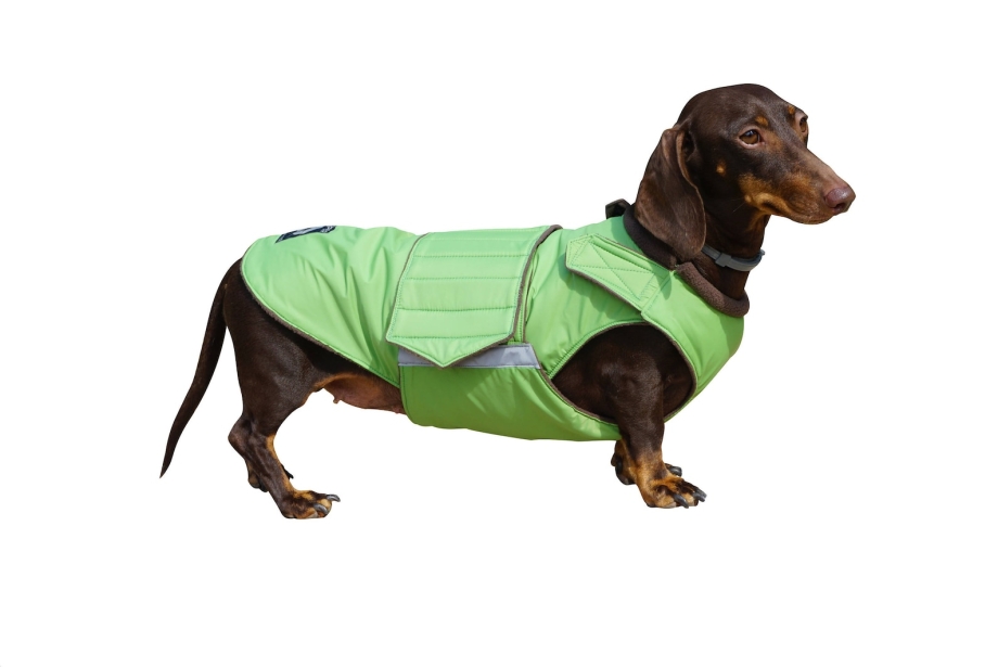 Комбинезон на таксу Pet Fashion
