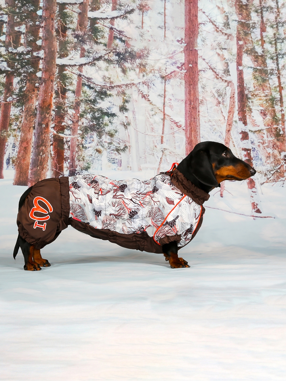 FORMYDOGS комбинезон для такс