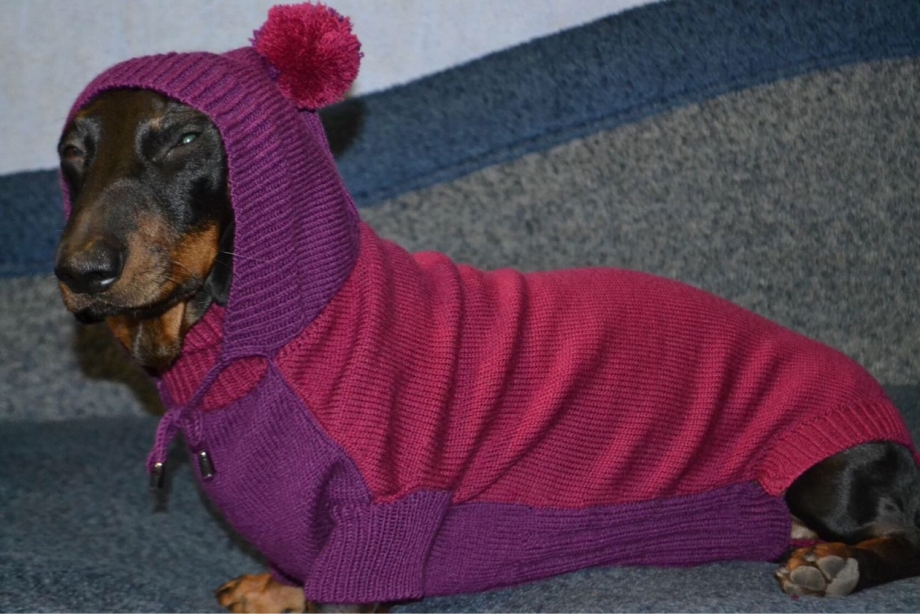 FORMYDOGS комбинезон для такс