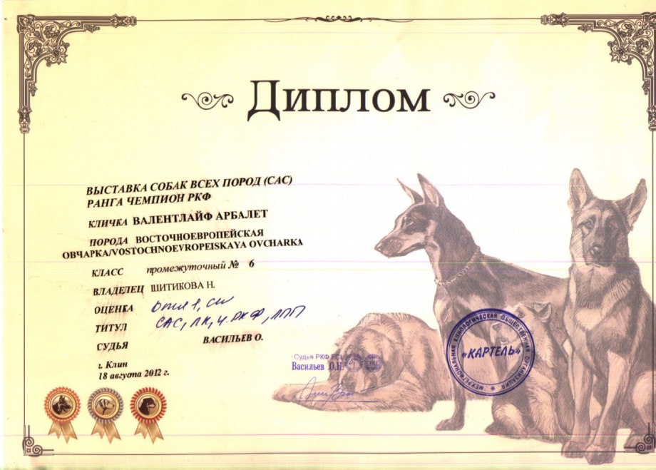 Кинологическая выставка