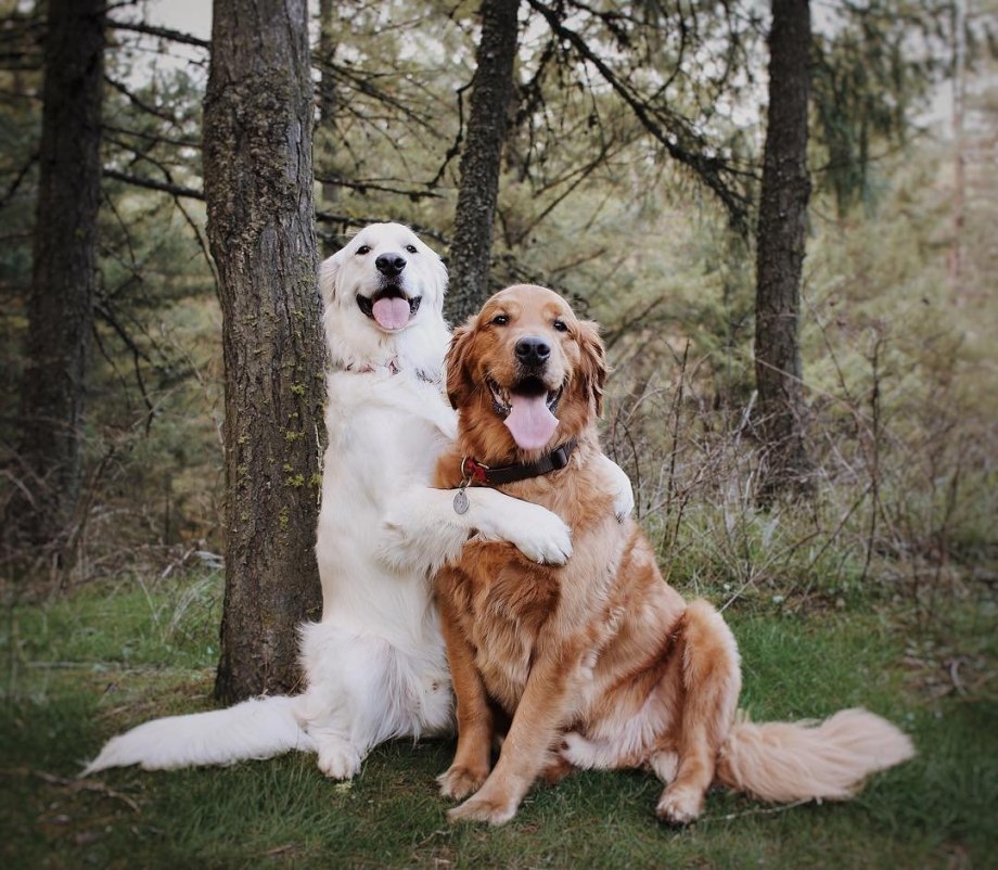 Watson and Kiko