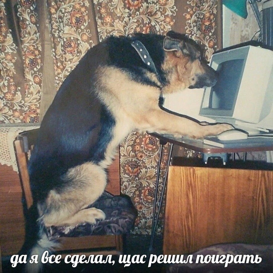 Собака сутулая Мем