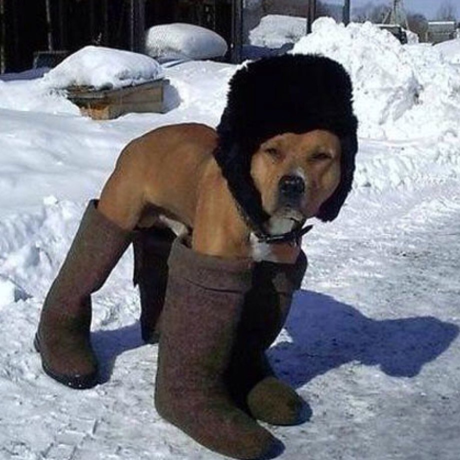 Очень холодно