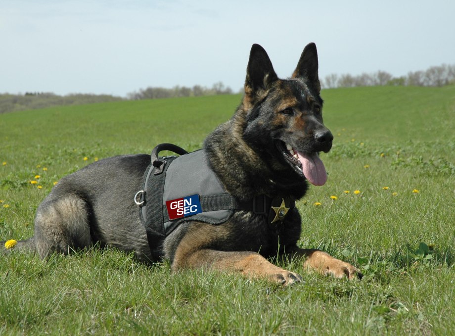 K-9 Unit