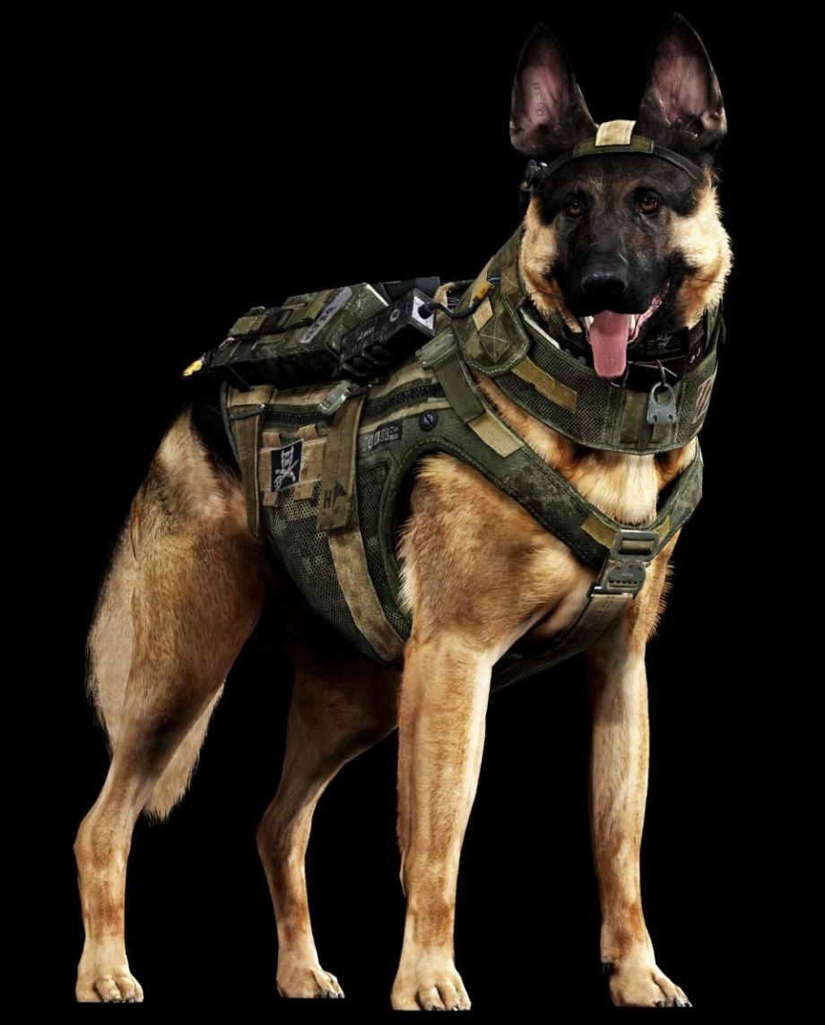 Собаки из Call of Duty bo 1