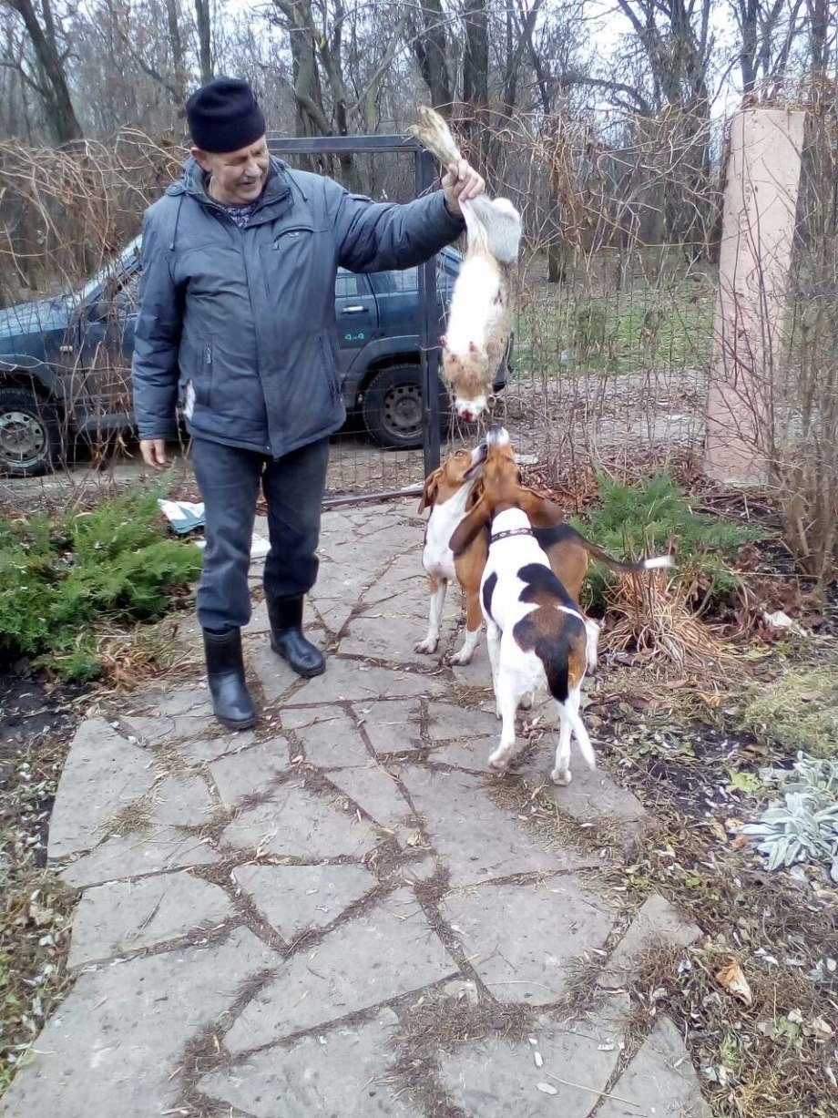 Федорченко Александр Воронеж Эстонская гончая