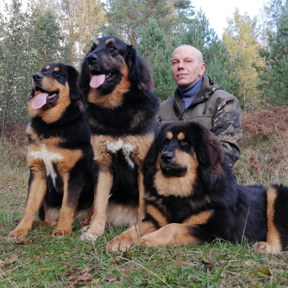 Банхар питомник Золотая Орда