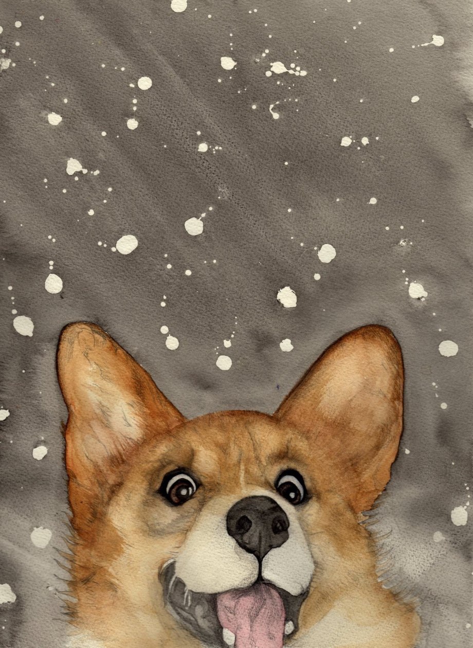 Вельш корги арт