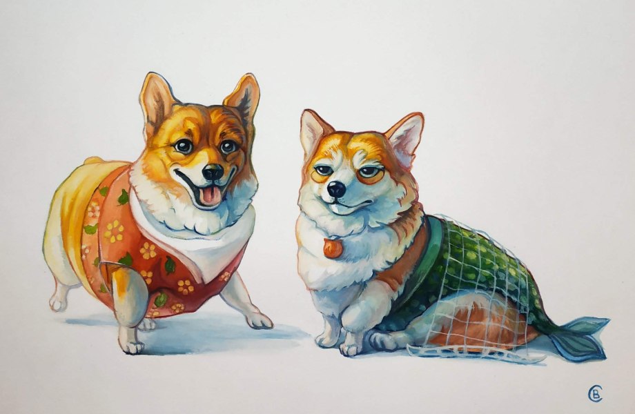 Скетчинг корги