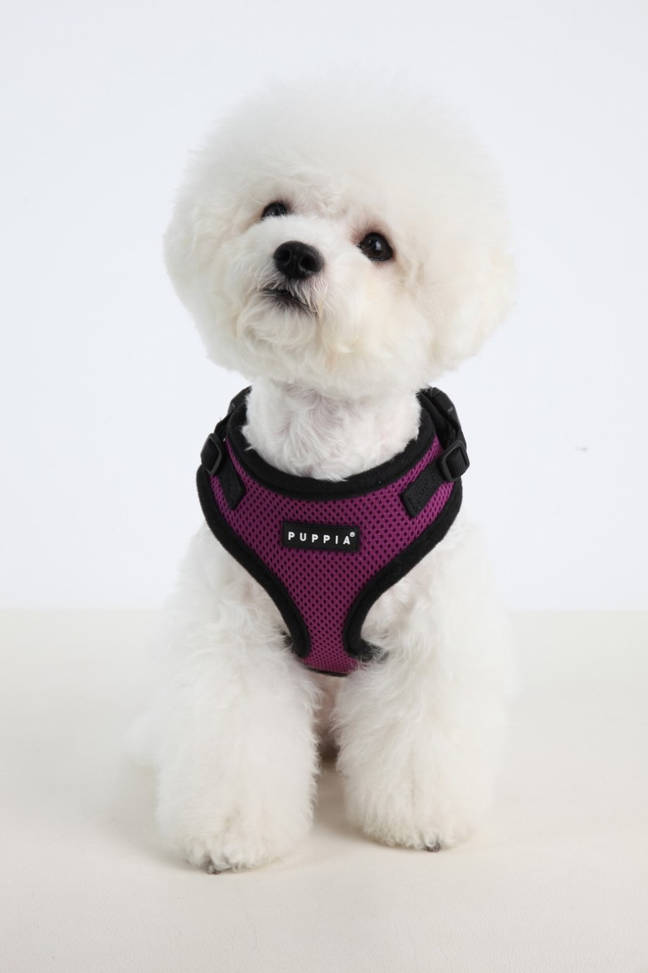 Puppia "RITEFIT"