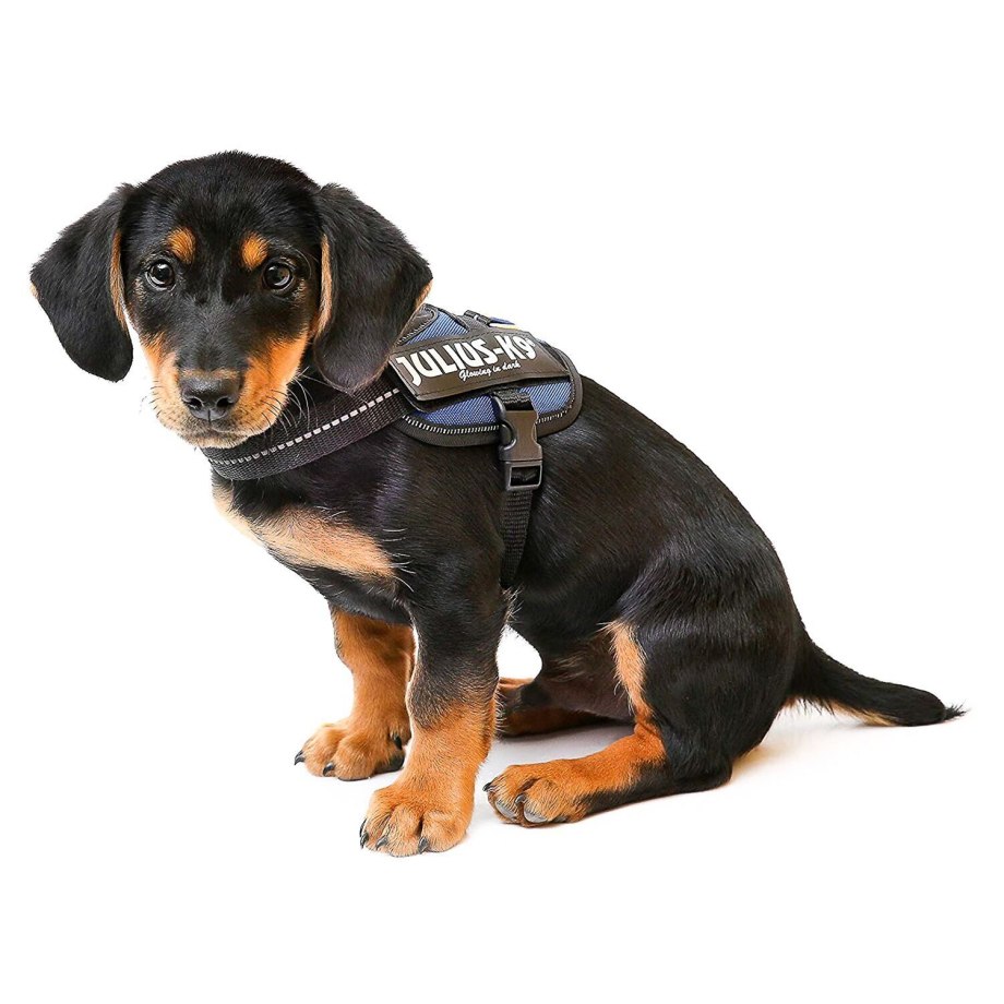 Шлейка для собак Julius-k9 IDC Powerharness Mini