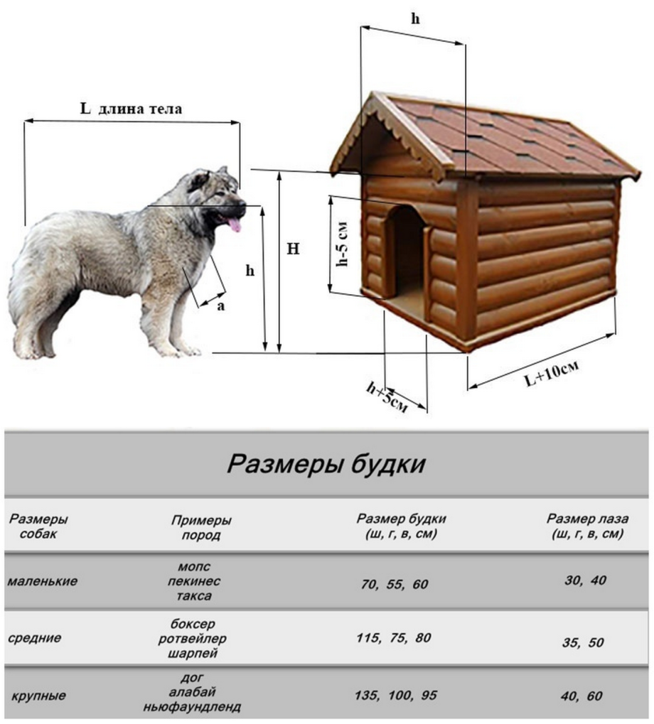 Размеры будок для разных пород собак