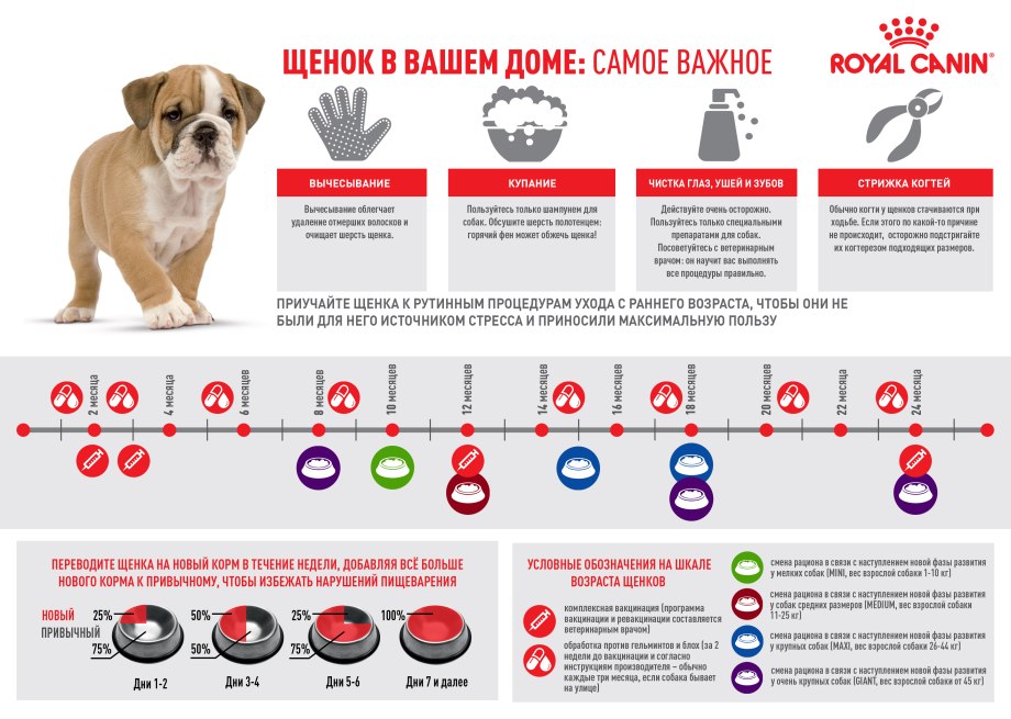 Вакцинация от бешенства