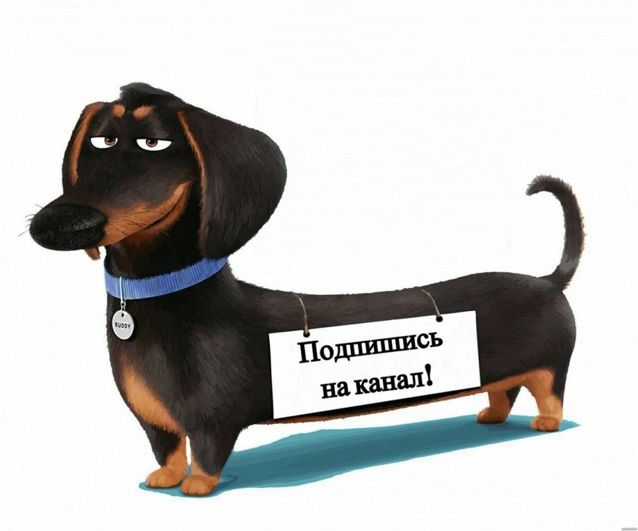 Такса из мультика