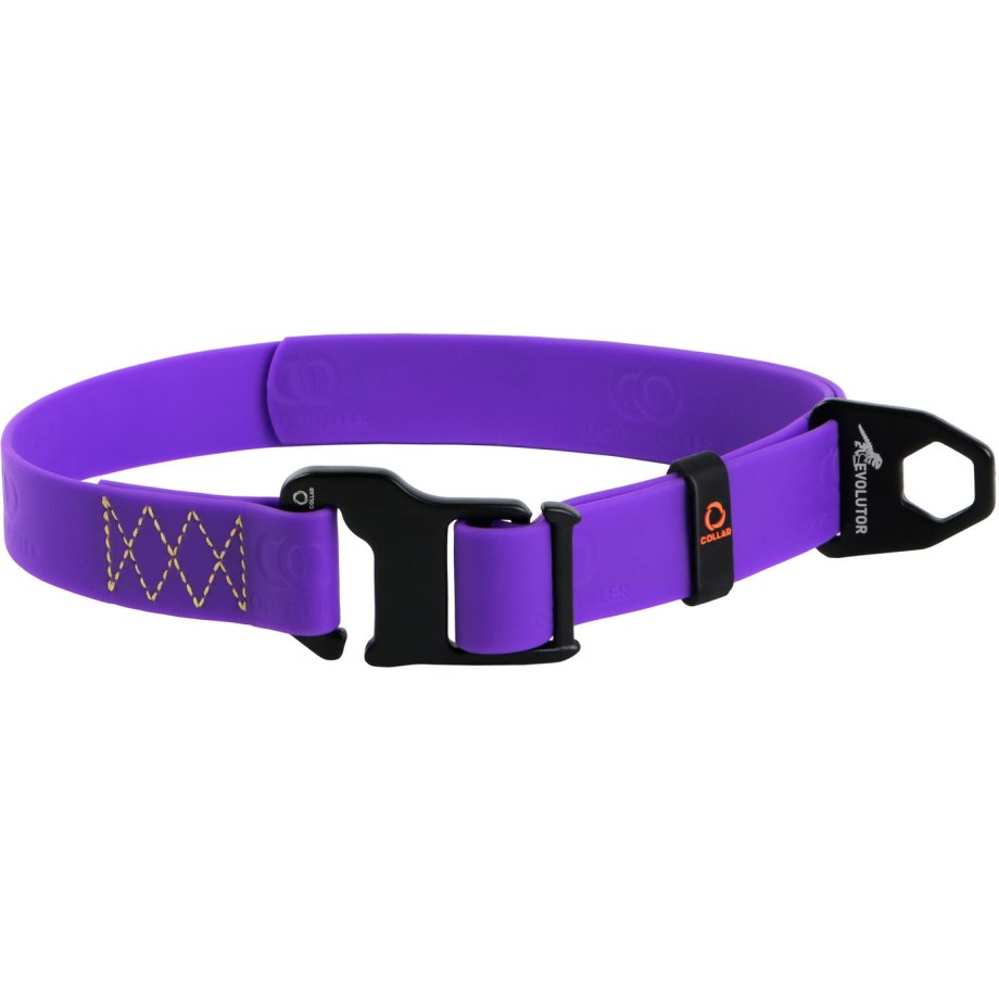 Collar Evolutor ошейник