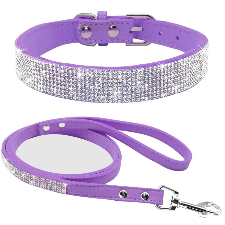 Фиолетово-чёрный ошейник с поводком Blaze Collar and Leash Purple