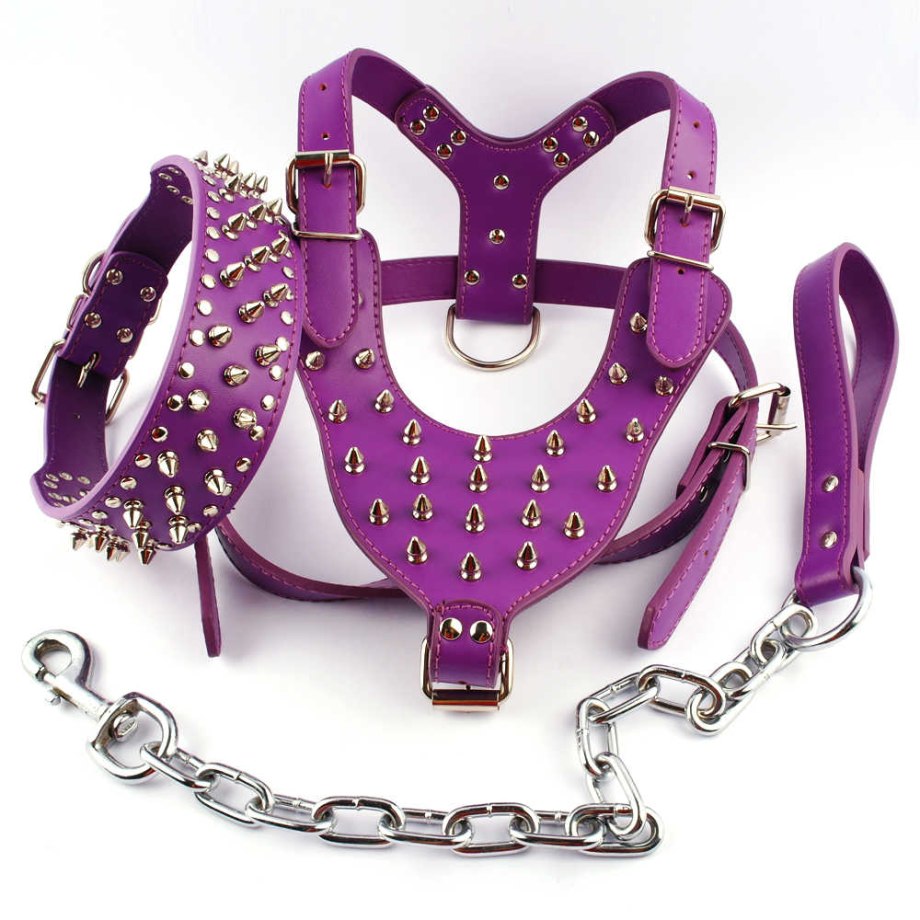 Шлейка с поводком GIGWI Pet Collars комплект l