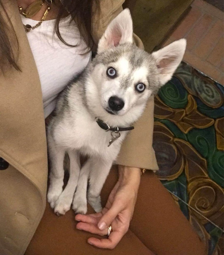 Кли Кай той