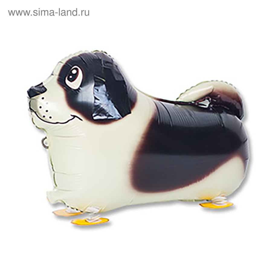 Шар ходячка собака