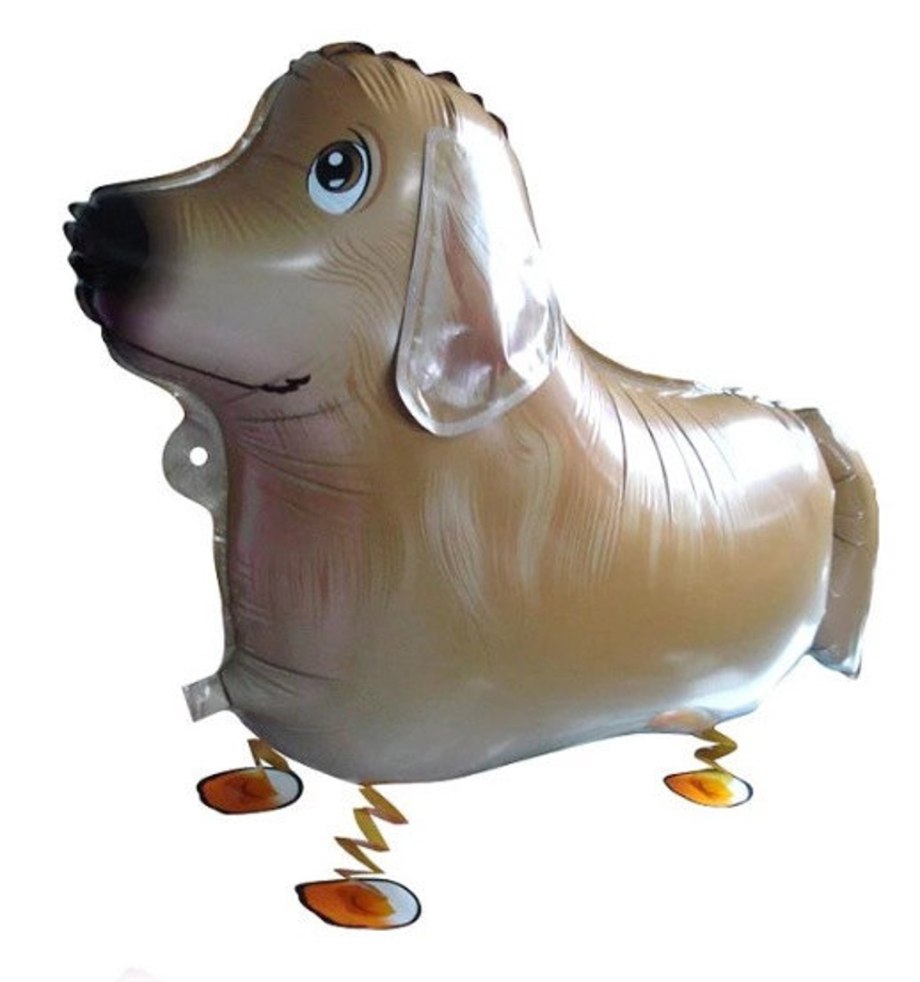 Ходячий шар корги