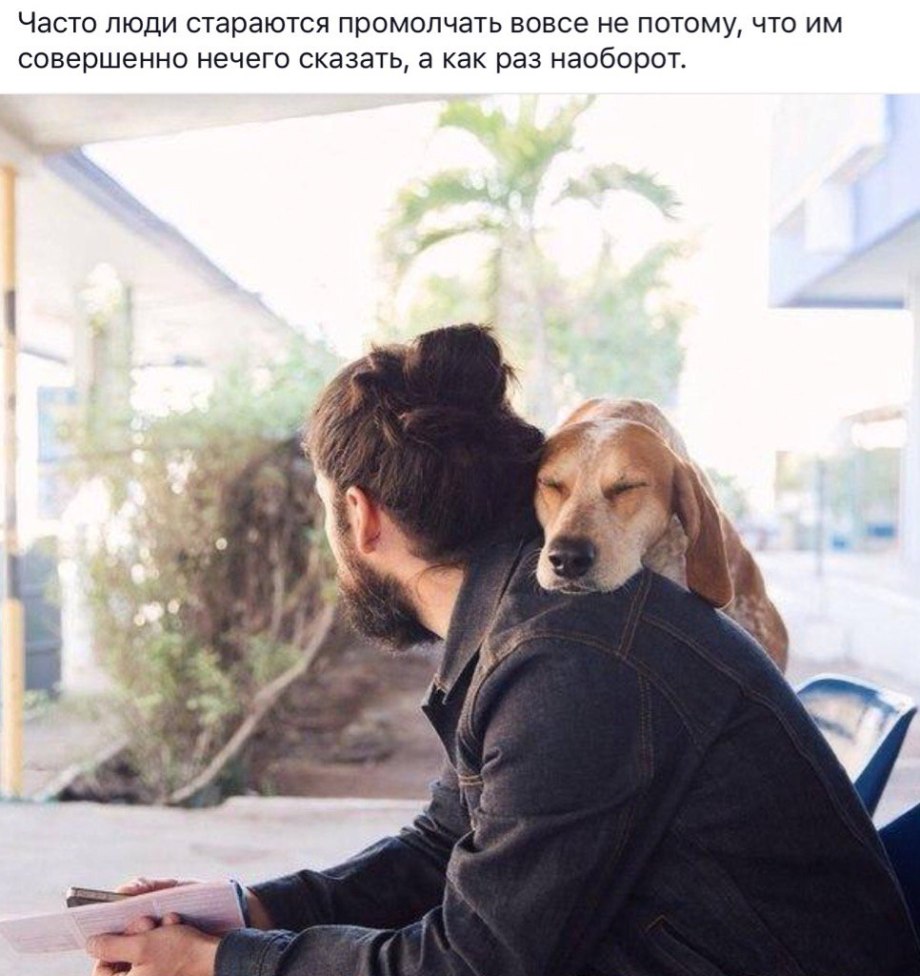 Собака на фоне заката