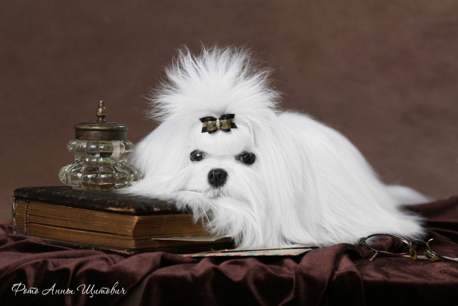 Ред Хиллер