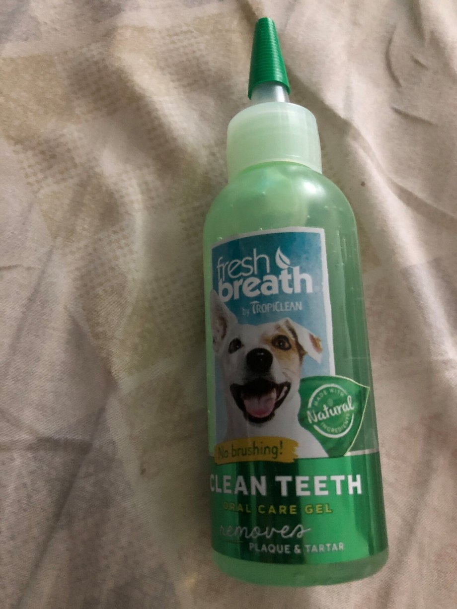 Dental для собак