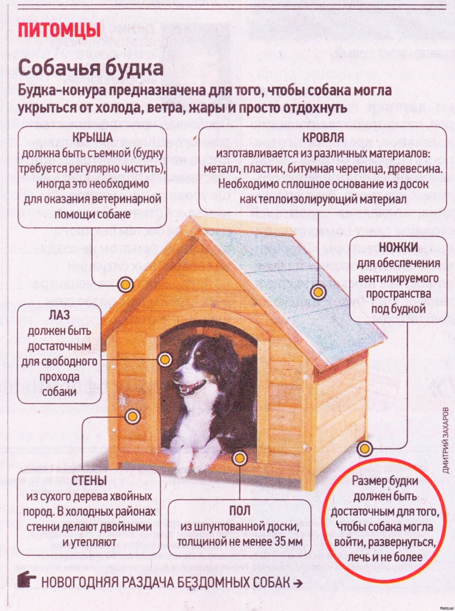 Какого размера должна быть собачья будка