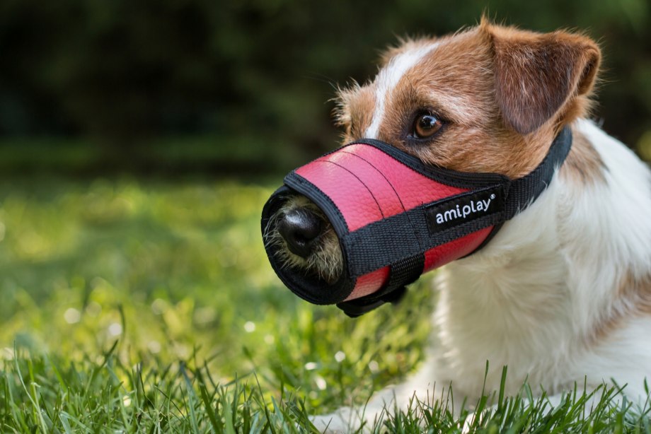 Намордник Muzzle Flex