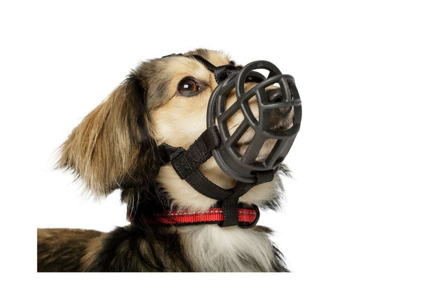 Baskerville Ultra Dog Muzzle